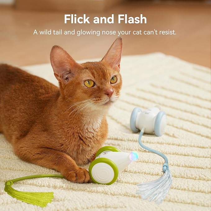 Cheerble Interactive Cat Toys for Indoor Cats, Automatic Moving Kitten Toys, Wicked Mouse Neo Cat Toy with Tail & Lights, Pet Cat Supplies, Rechargeable Cat Toys for Bored Indoor Adult Cats,Green