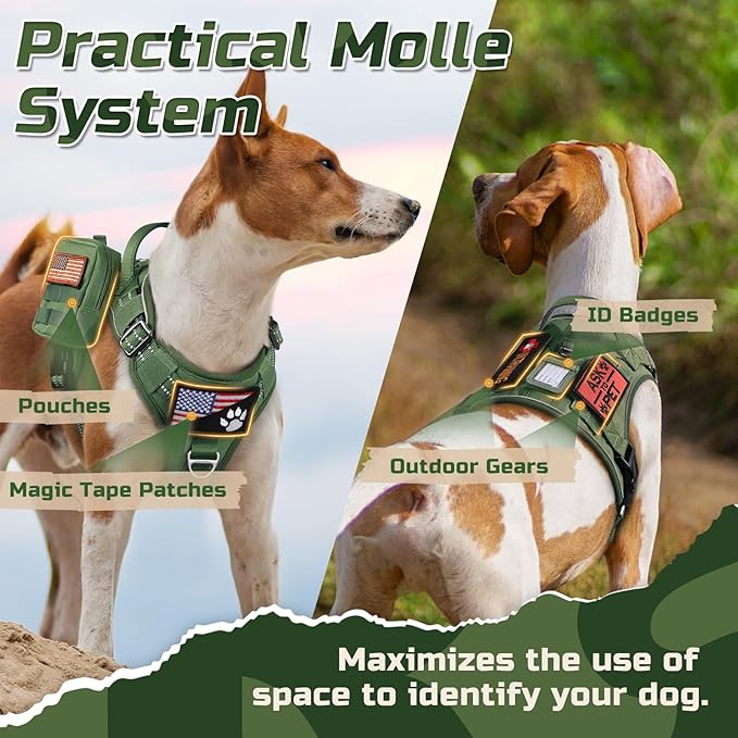 rabbitgoo Tactical Dog Harness for Small Dogs, No Pull Military Service Vest with Handle & Molle, Easy Control for Training Walking, Adjustable Reflective Straps, Green, S
