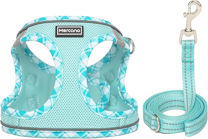 Mercano Soft Mesh Dog Harness and Leash Set, No-Chock Step-in Reflective Breathable Lightweight Easy Walk Vest Harnesses with Safety Buckle for Small Dogs, Cats (Light Blue, S)