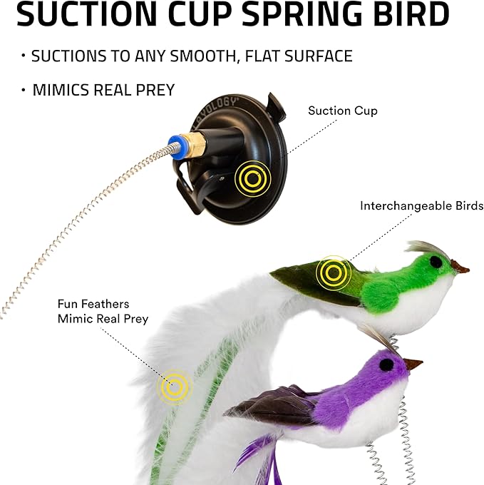 Playology Cat Toys | Interactive Toy Suction Cup Spring Bird Including 2 Replacement Birds Cat Toys for Indoor Cats | Toy Made from Non Toxic Materials