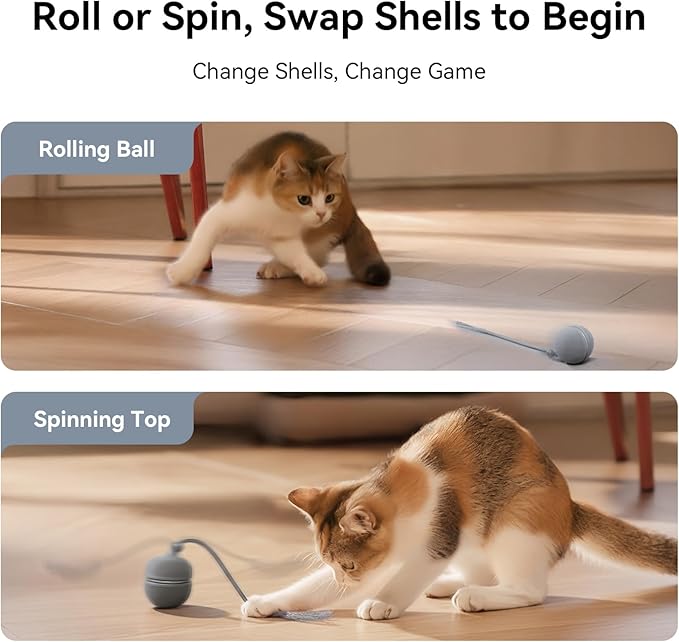 Cheerble 2 in 1 Interactive Cat Toys for Indoor Cats - Wicked Ball Duo2 Automatic Cat Toy, Dual Interchangeable Shells, Electric Cat Toy Ball with Chirping Sounds,Rechargeable Moving Kitten Toys, Blue