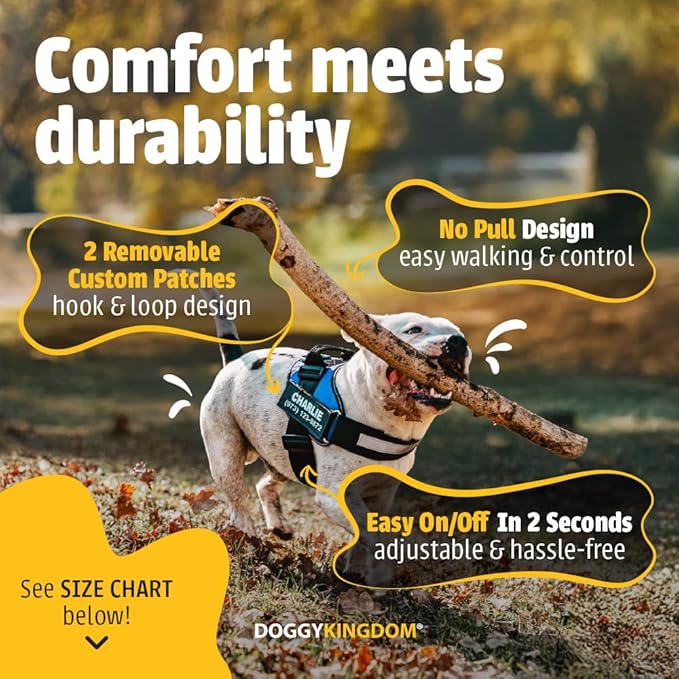 Personalized No-Pull Dog Harness with Name Patch, Adjustable, Reflective, Padded, Heavy Duty Pet Vest to Prevent Tugging, Pulling, or Choking, Training and Walking, Orange, S