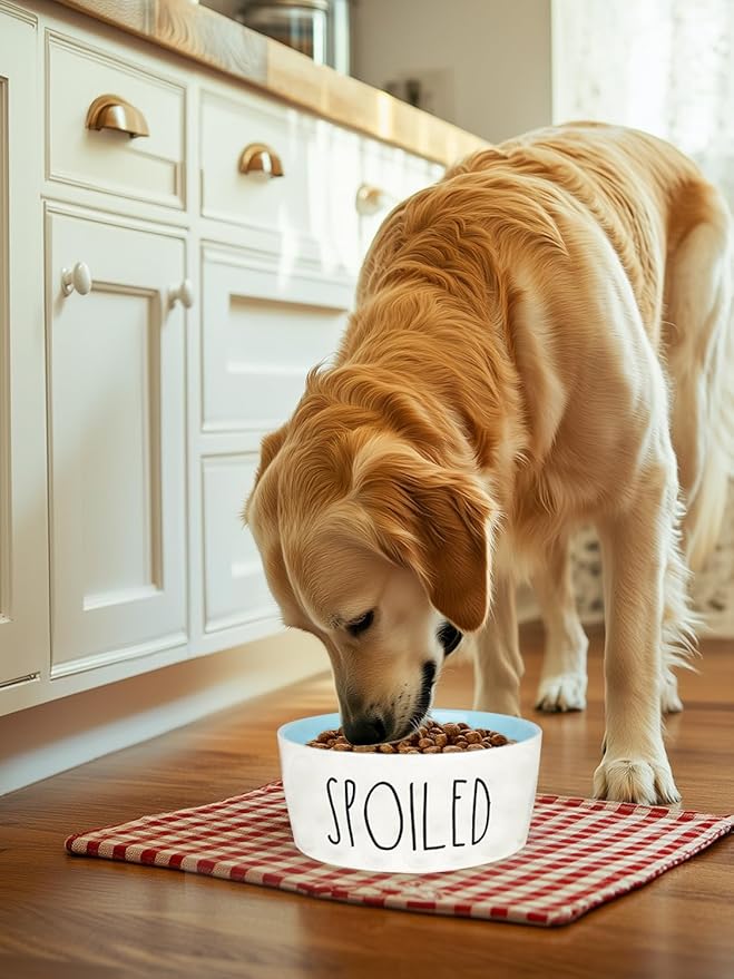 70OZ Ceramic Dog Bowl - 8'' Extra Large Food Water Dog Bowl, Heavy Duty Non-Slip Dog Dish for Medium and Large Dogs, Food Grade Porcelain Pet Feeder Bowl, Microwave & Dishwasher Safe, Blue