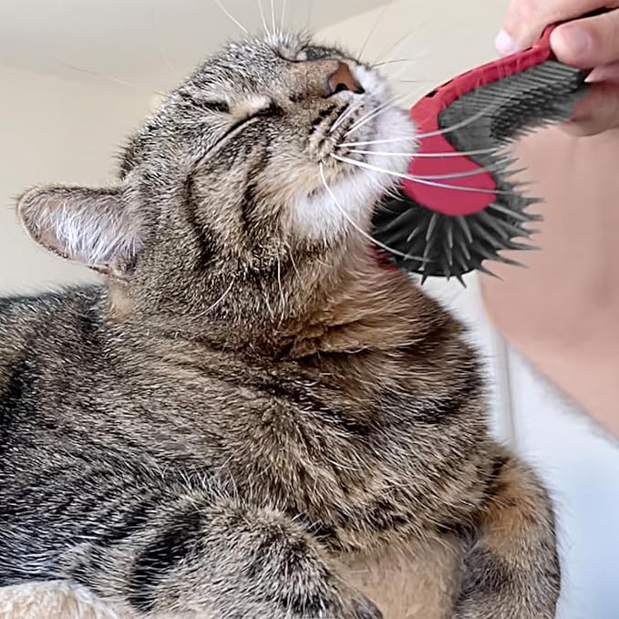 (Pink) Cat Brush is Designed for Comfort, Created for Results. This innovative grooming brush features multi contoured shapes that gently adapt to your cats body for a stress free grooming.