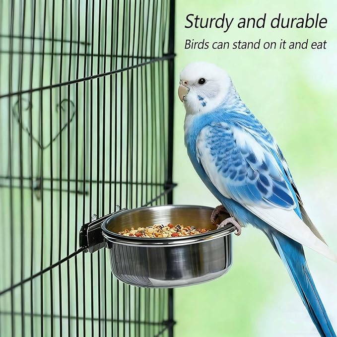 2 Pcs Stainless Steel Bird Food Water Bowls, Parrot Feeding Dish Cups with Clamp Holder Bird Ball Toys for Chinchilla, Cockatiel, Conure, Budgies, Parakeet, Lovebird, Small Animals (Small+Medium)