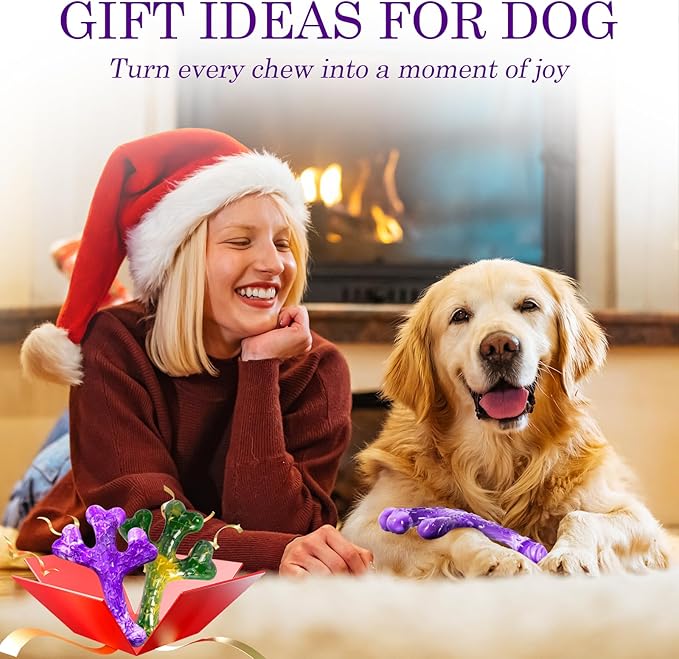 Dog Toys for Aggressive Chewers - 2 Pack Beef Bacon Flavor Tough Dogs Chew Toys, Indestructible Toy for Medium Large Dogs Gift