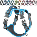 VIVAGLORY Dog Harness Easewalk No Pull Dog Harness with Handle & Front Back Clip for Training Lifting, Easy On Adjustable Padded No Pull for Pet & Puppy, M, Blue