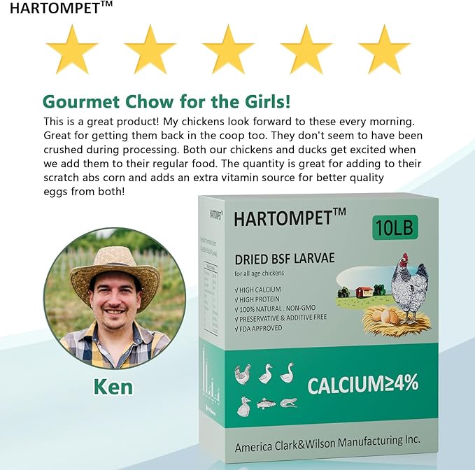 HARTOMPET Better Than Dried Mealworms for Chickens 10 lbs - 85X Calcium Than MealWorms - Non-GMO Chicken Feed Additive & Molting Supplement - black soldier fly larvae Treats for Hens, Ducks, Wild Bird