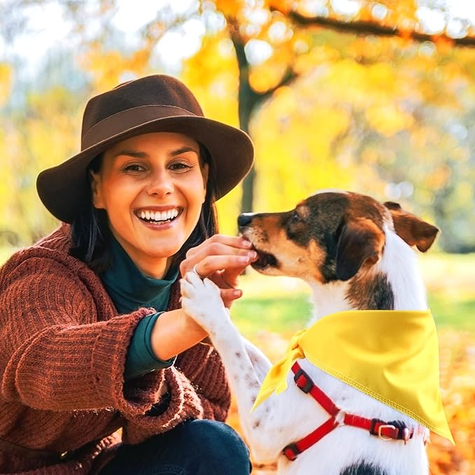 48 Pcs Fall Dog Bandanas Bulk Sublimation Blank Bandanas for Dogs Heat Transfer Triangle Bibs DIY Scarf for Small Medium Large Puppy Pets Halloween Christmas Costume(Red Yellow Orange Brown)