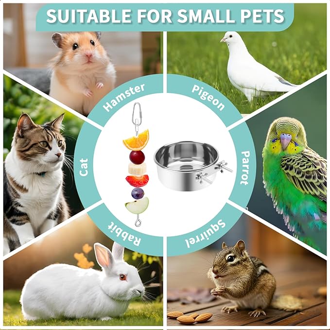 2 Pcs Bird Feeding Dish Cups with 3 Pcs Food Holder for Cage, Parrot Food Water Bowls and Fruit Vegetable Skewer Foraging Toy, Stainless Steel Bird Feeders for Small Animals -Silvery,5 Pcs
