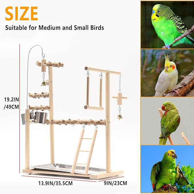 Bird Playground Parrot Playstand Bird Perch Stand Gym Natural Wood Play Stand with Swing Ladder Feeder Cups for Parakeets Cockatiels Lovebirds Conures Budgies