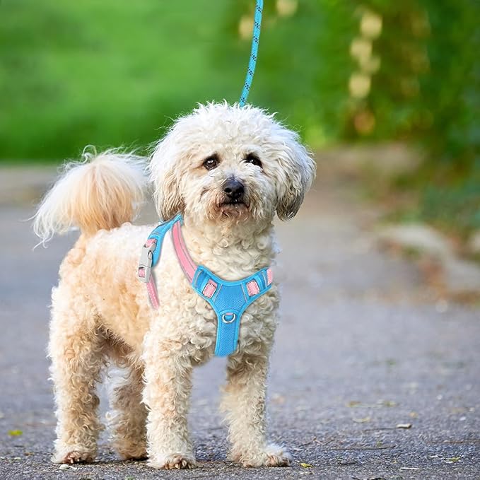 BARKBAY No Pull Dog Harness Large Reflective Dog Harness with Front Clip and Easy Control Handle for Walking Training Running with ID tag Pocket(Baby Blue & Baby Pink,S)