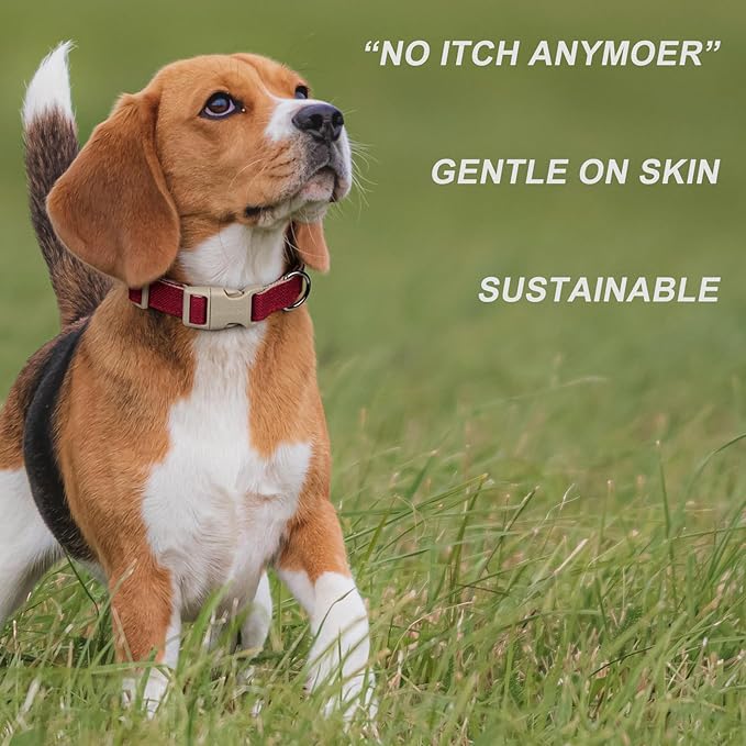 Plutus Pet Cotton Hemp Dog Collar and Leash Set, Adjustable Collar for Small, Medium, and Large Dogs, Heavy Duty and Soft on Skin, Red, S