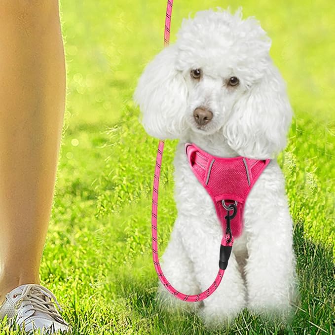 BARKBAY Dog Harness No Pull with ID Tag Pocket - Heavy Duty, Reflective, Easy Control for Large Dogs(Pink,XS)