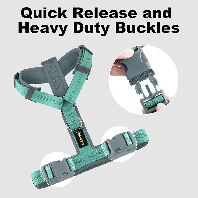 Plutus Pet No Pull Dog Harness, Adjustable Nylon Harness with Soft Padding, Reflective and Heavy Duty Dog Harness for Small, Medium, Large Dogs(Teal, M)