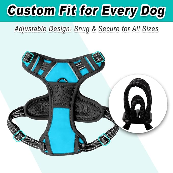 BARKBAY Dog Harness No Pull for Small Dogs - Adjustable, Reflective, Comfortable, No Choke, Heavy-Duty - Perfect for Outdoor Training, Walking, and Hiking - Strong & Durable - XS & Blue