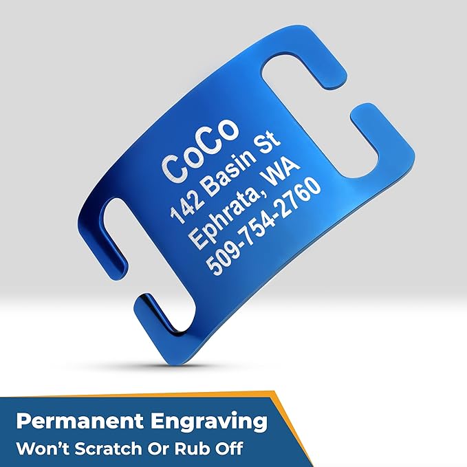 GoTags Reflective Personalized Dog Collar with Nameplate, Adjustable Dog Collar with Custom Engraved Steel Slide On Pet ID Tag, Silent, No Noise Dog Tag for Large Medium or Small (Charcoal, Small)