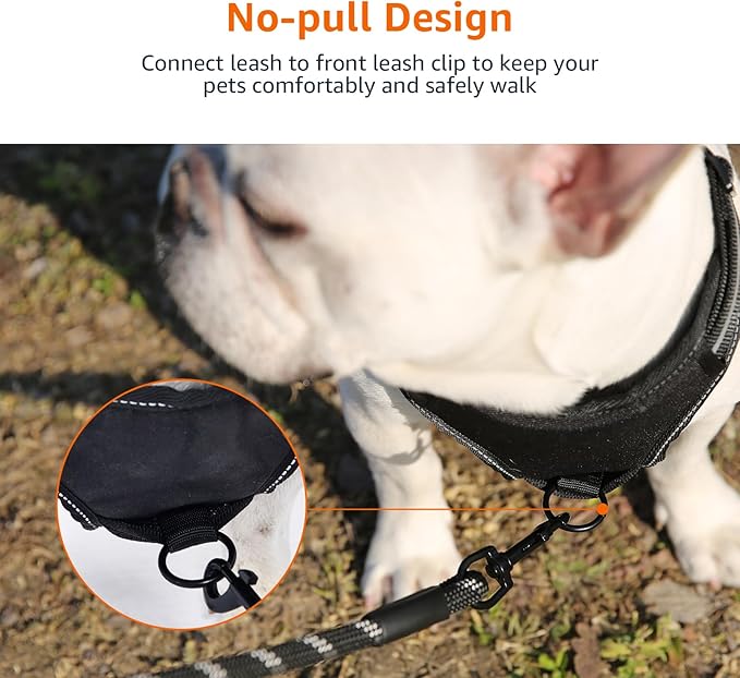 Amazon Basics No-Pull Dog Harness, Adjustable Soft Padded Vest with Reflective Stripes, Small, Black