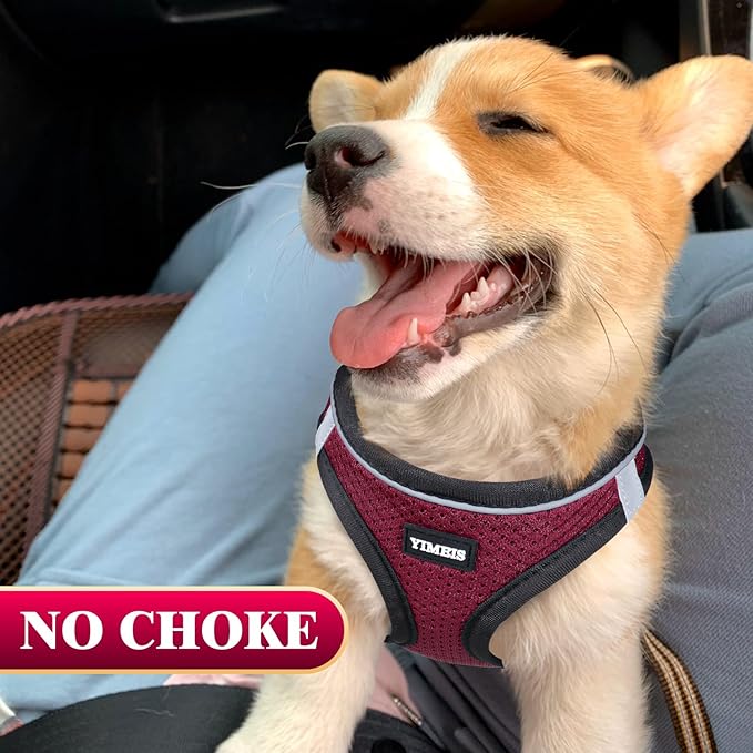 YIMEIS Dog Harness and Leash Set, No Pull Soft Mesh Pet Harness, Reflective Adjustable Puppy Vest for Small Medium Large Dogs, Cats (Grape Purple, X-Small (Pack of 1)