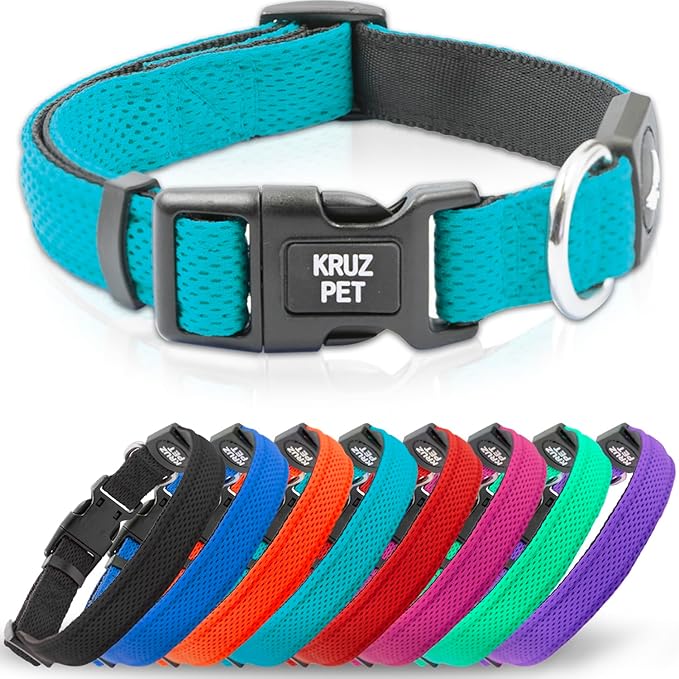 Kruz Dog Collar for Small Dogs (Width- 3/4", Neck - 10.5"-14.5") Adjustable Pet Neck Band with Comfortable Soft Padding, Lifetime Durability, Heavy-Duty O-Ring (Turquoise, Small)
