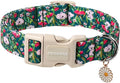 DOGWONG Cute Dog Collar, Flower Koala Dog Collar Durable Soft Fabric Pet Dog Collars Girl Female Puppy Necklace for Small Medium Large Dogs