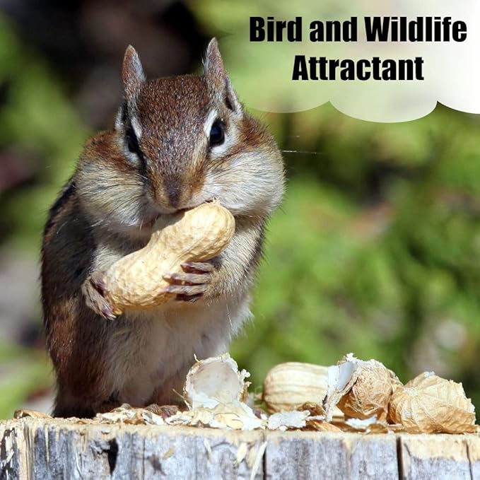 Wildlife in-Shell Peanuts, 25 lbs for Birds, Squirrels, and Wildlife. USA Grown Non-GMO, Organic Small Farm, Raw in-Shell Peanuts. Wildlife Grade, 25 lbs.
