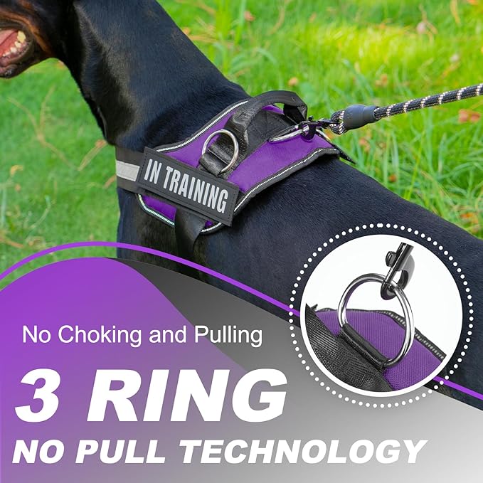 Essential Dog Harness with 3 Leash Clips - No-Pull, Adjustable, Comfortable Pet Vest Harness for Small to Large Dogs - Easy On, No Choke, Reflective, Padded Harness for Walking and Training