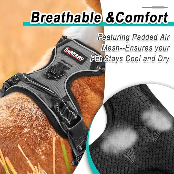 BARKBAY Dog Harness No Pull for Small Dogs - Adjustable, Reflective, Comfortable, No Choke, Heavy-Duty - Perfect for Outdoor Training, Walking, and Hiking - Strong & Durable - XS & Dark Grey