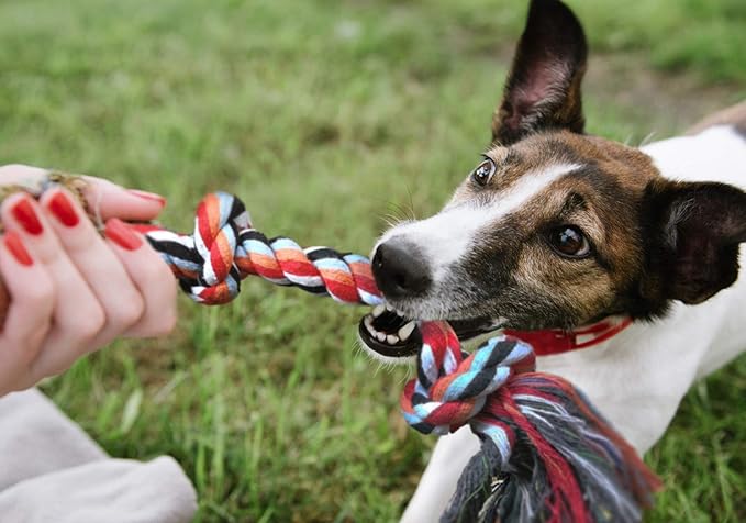 Fida Dog Rope Toys 4 Pack, Puppy Teething Sturdy Cotton Chew Tug Ropes Indoor/Outdoor, Exercise Interactive Tug O'War Toys Set for Boredom Small-Meidum Dogs