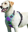 Eagloo Dog Harness for Large Dogs, No Pull Service Vest with Reflective Strips and Control Handle, Adjustable and Comfortable for Walking, No Choke Pet Harness with 2 Metal Rings, Purple & Green, L