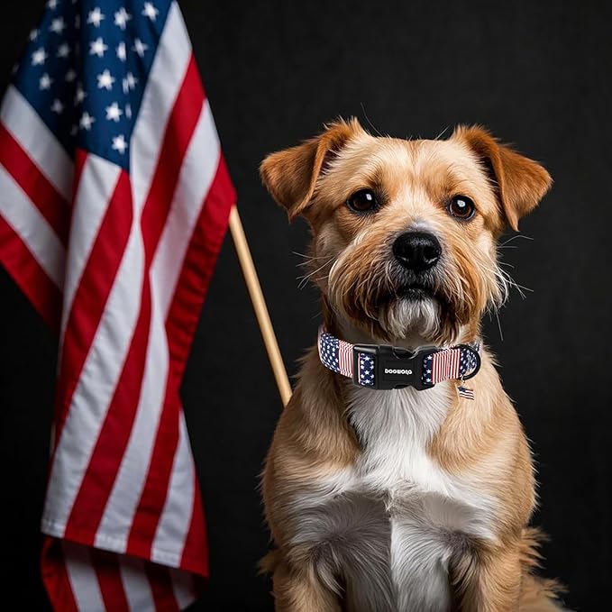 DOGWONG Patriotic Flag Dog Collar, 4th of July American Flag Dog Collars, Adjustable Cute Patriotic Pet Collars Fourth of July Design Dog Collar for Small Medium Large Dogs