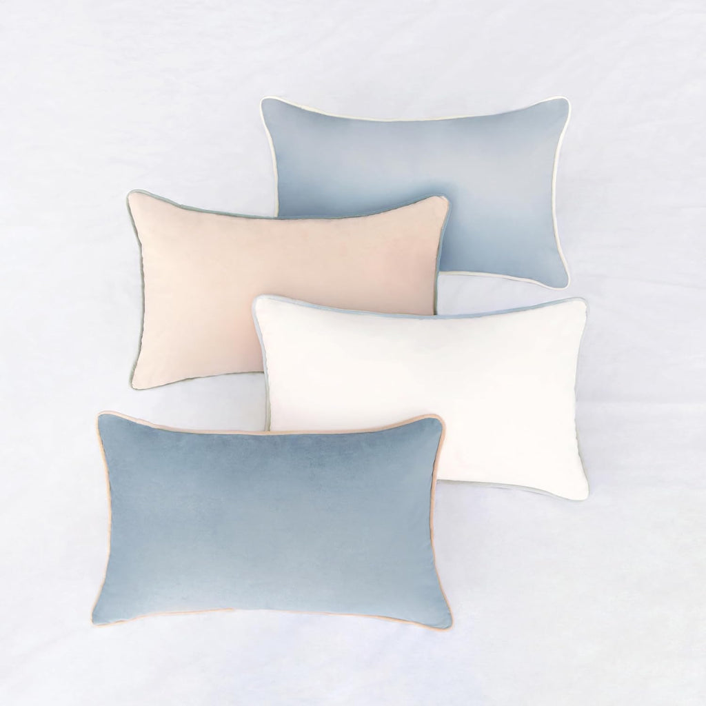 MONDAY MOOSE Decorative Throw Pillow Covers Cushion Cases, Set of 4 Soft Velvet Modern Double-Sided Designs, Mix and Match for Home Decor, Pillow Inserts Not Included (12x20 inch, Beige/Light Blue)
