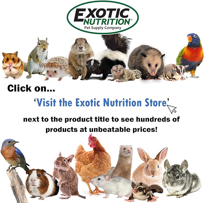Exotic Nutrition Dried Insect 3 Pack - Crickets, Grasshoppers, Mealworms - for Sugar Gliders, Hedgehogs, Wild Birds, Chickens, Turtles, Tropical Fish, Reptiles