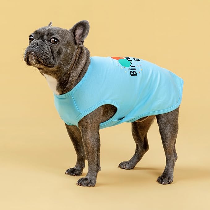Fitwarm Birthday Boy Dog Shirt, Bir-Ruff-Day Boy Funny Dog Clothes for Small Dogs Boy, Pet Birthday Outfit, Cat Tshirt, 100% Breathable Cotton, Aqua Blue, Medium