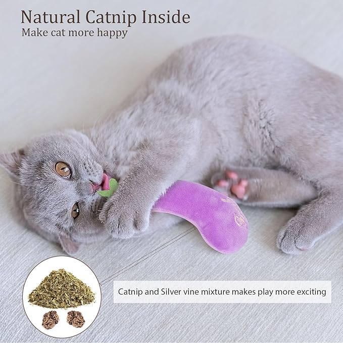 Catnip Cat Toys, Interactive Indoor Cat Nip Toy Kitty Kicker, Durable Kitten Teething Chew Toy, 5 Pack, Vegetable Shape