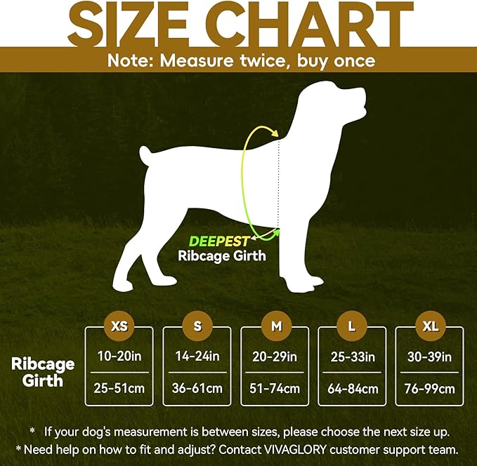 VIVAGLORY Dog Harness Easewalk No Pull Dog Harness with Handle & Front Back Clip for Training Lifting, Easy On Adjustable Padded No Pull for Pet & Puppy, XS, Hunter Teal