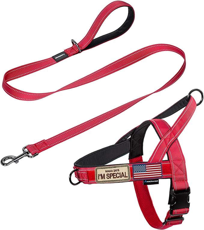 Annchwool No Pull Dog Harness with Padded Handle+5 Ft Leash,Reflective Strip Escape Proof and Quick Fit to Adjust Dog Harness,Easy for Training Walking for Small & Medium and Large Dogs(Red-Set,L)