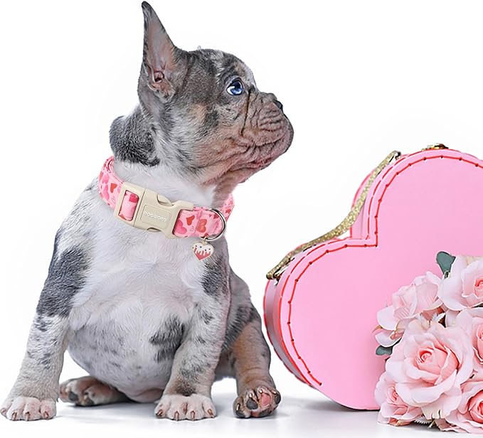 DOGWONG Valentine's Day Dog Collar, Cute Heart Dog Collars, Adjustable Valentine Pink Heart Pet Collars Design Dog Collar with Quick Release Buckle for Puppy Girl Boy Female Dogs