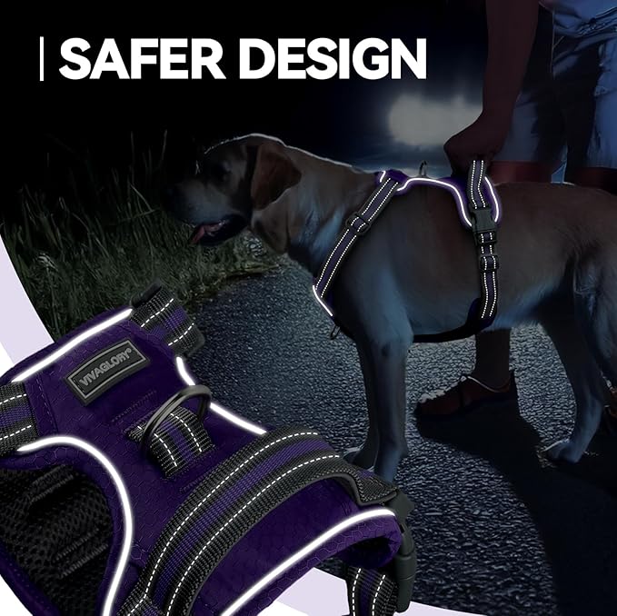 VIVAGLORY Dog Harness Easewalk No Pull Dog Harness with Handle & Front Back Clip for Training Lifting, Easy On Adjustable Padded No Pull for Pet & Puppy, XS, Purple