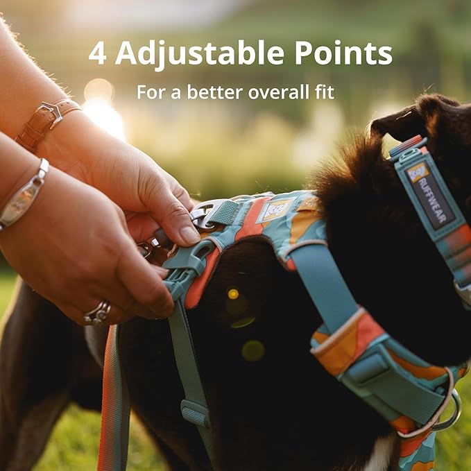 Ruffwear, Front Range Dog Harness, Reflective Soft Padded Everyday Harness with Dual Leash Clips, Adjustable and Lightweight Fit for Training or Walking for All Dogs, River Rock Green, Small