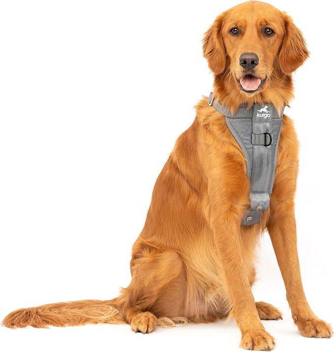 Kurgo Enhanced Strength Tru-Fit Dog Car Harness - Pet Travel Safety Harness - Crash Test Certified Fit - Five Point Adjustment - Secure Buckle - Padded Chest - Charcoal - Large