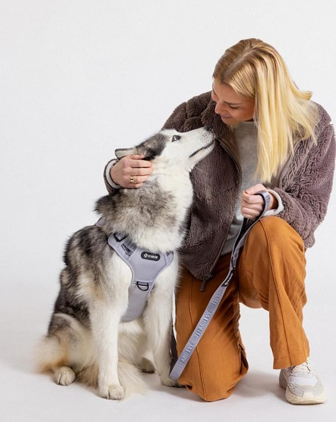 2025 New Edition, Fei & Eve MagEase Dog Harness - 3-Second Magnetic Buckles | 3-Point No-Pull Control | Heavy-Duty 900D Nylon | Dual Safety Handles | Breathable Mesh | Adjustable Fit | Large, Gray