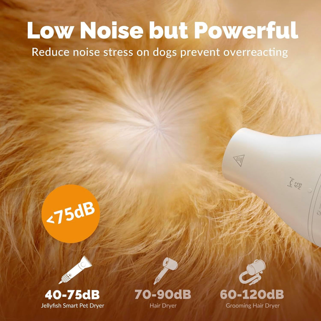 2 in 1 Grooming Kit for Pet-Dog Hair Dryer & Professional Grooming Brush for Frizzy Dog Hair Styling-1.21lb Lightweight Handhold Portable High Velocity Force Blower+4 Replacement Nozzle at Home Travel