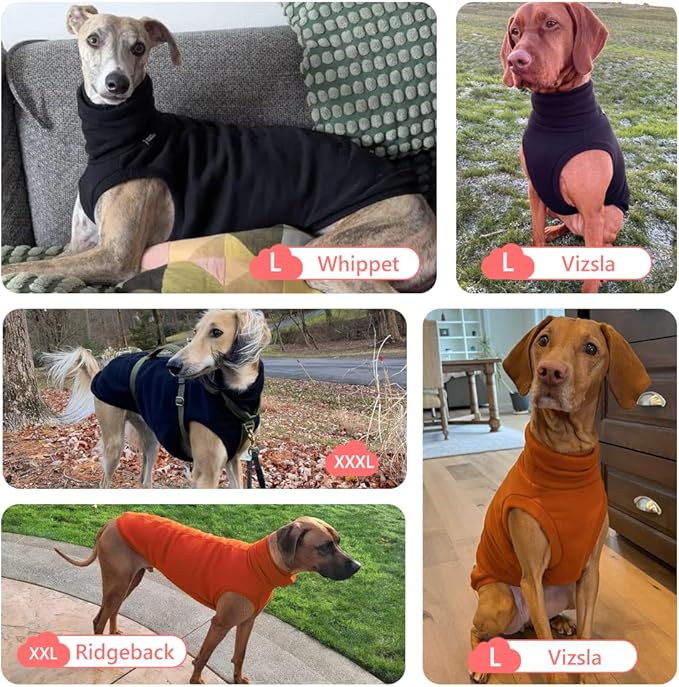 Sweatshirt for Vizsla/Weimaraner/Poodle/Dalmatian/German Dog, Reflective Sleeveless Warm Cotton Clothes for Big Dogs (Orange, XXX-Large(Chest 31''. back26''))