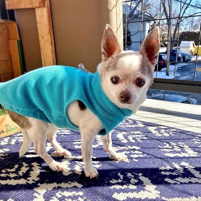 Gooby Fleece Vest Dog Sweater - Turquoise, Small - Warm Pullover Fleece Dog Jacket with O-Ring Leash for Small to Medium Dogs