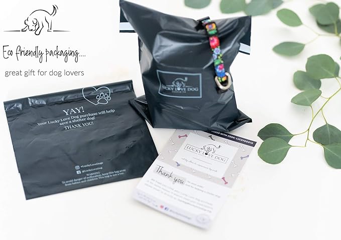 Lucky Love Dog - Adjustable Dog Collar and Leash Set with Easy Click Buckle for Small to Large Dogs, Durable, & Comfortable Collar for Male & Female Dogs, Puppies & Adult Ones - Linus Combo, Small