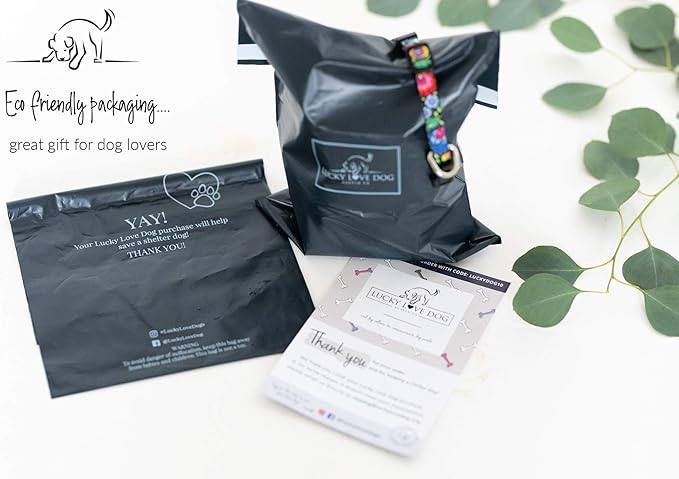 Lucky Love Dog Dog Collar, Leash Set Small, Medium, Large, Premium, Cute and Adjustable Collars for Male and Female Dogs, Winterblue Combo, Large