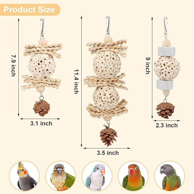 Wontee Bird Toys 3 Pack Parrot Foraging Hanging Toys Sola Ball Natural Nuts Chew Toys for Cockatiels Conures Parakeets Budgies Senegal (3 Pack)