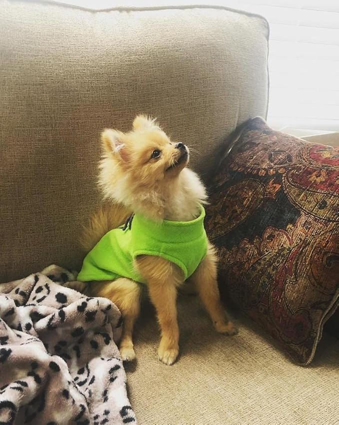Gooby Fleece Vest Dog Sweater - Lime, X-Small - Warm Pullover Fleece Dog Jacket with O-Ring Leash for Small to Medium Dogs