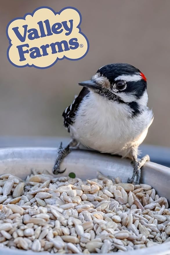 Valley Farms Whole Sunflower Hearts for Birds (15 LB) Clean Shelled Sunflower Seeds, No Mess Wild Bird Seed for Outside Feeders